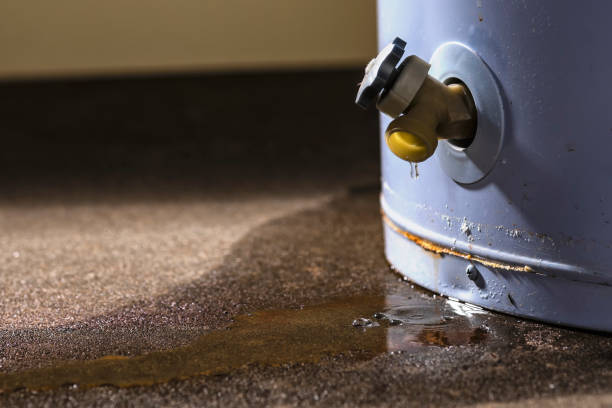 Best 24/7 water damage repair  in Arcade, GA
