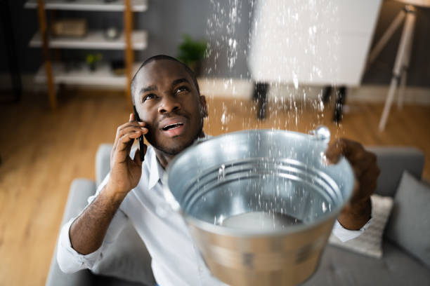 Best Basement water damage restoration  in Arcade, GA