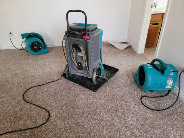 Best Sewage cleanup and water damage restoration  in Arcade, GA