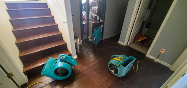 Best 24/7 water damage repair  in Arcade, GA