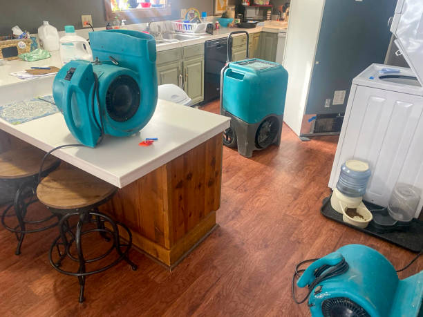 Best Water damage contractors near me  in Arcade, GA