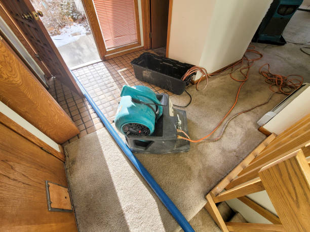 Best Water damage restoration cost  in Arcade, GA