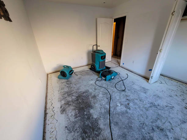 Water damage restoration experts in Arcade, GA