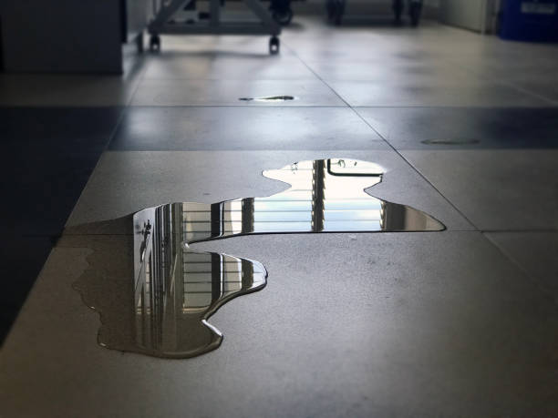 Best Ceiling water damage repair  in Arcade, GA