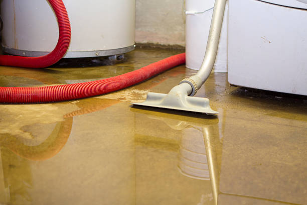Professional Water damage restoration in Arcade, GA