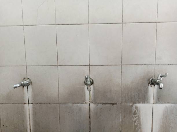 Best Commercial water damage restoration  in Arcade, GA