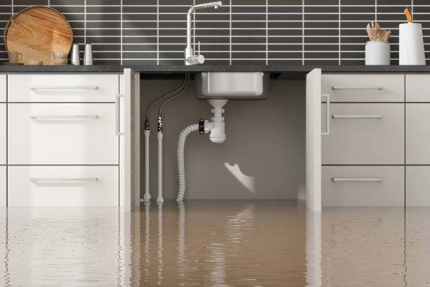 Best Professional water damage repair  in Arcade, GA
