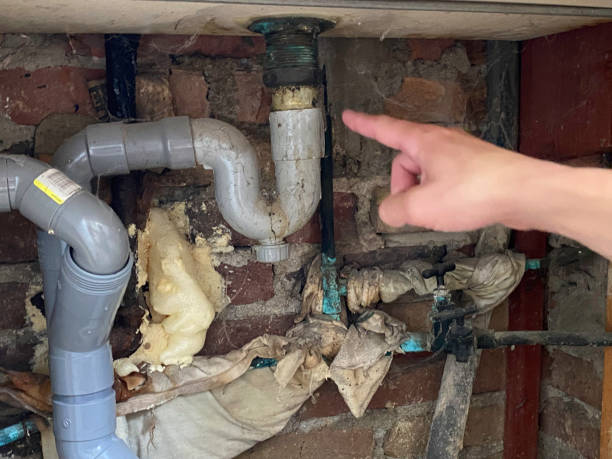 Best Water damage restoration near me  in Arcade, GA