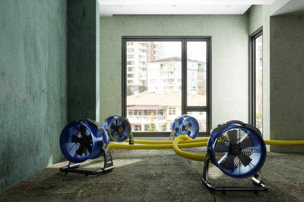 Best Water damage restoration near me  in Arcade, GA